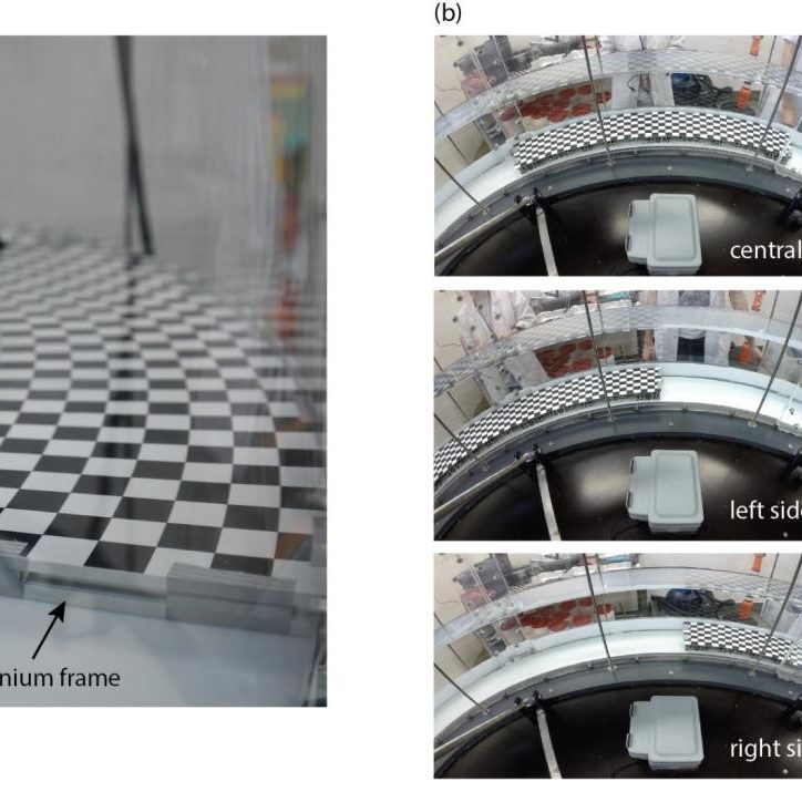 Annular flume_solid particle tracing